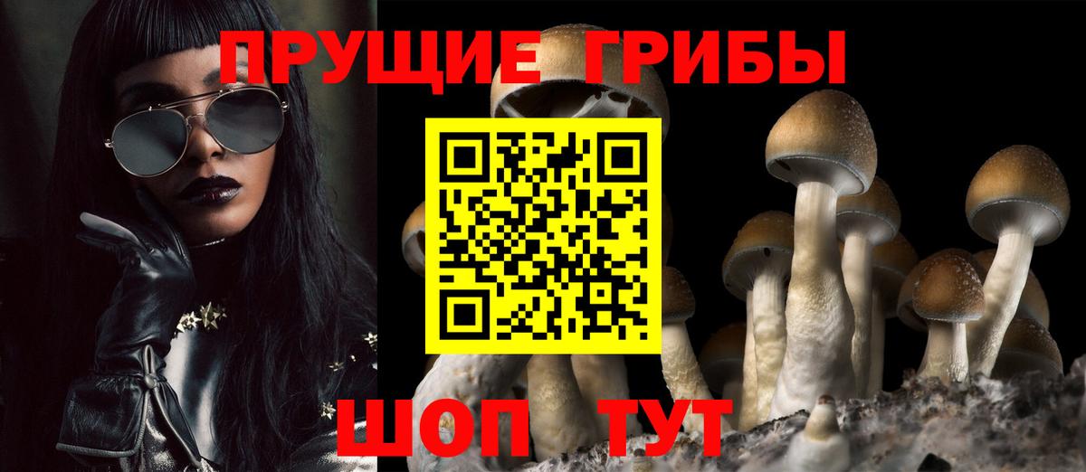 Псилоцибиновые грибы GOLDEN TEACHER  Вход с VPN  Луга 